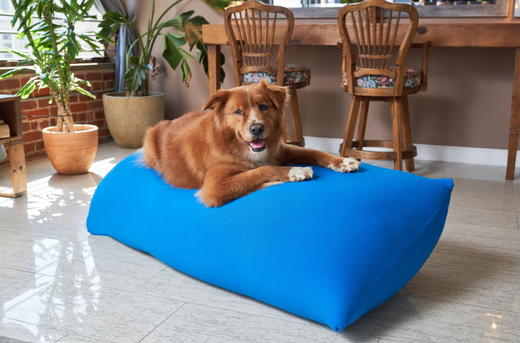 公式】ビーズソファでペットと一緒に過ごす快適ライフ | Yogibo公式