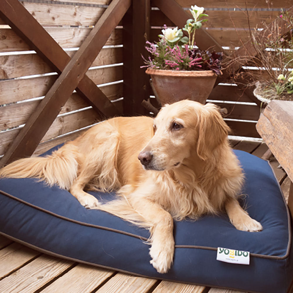 Yogibo Lucky Pet Bag