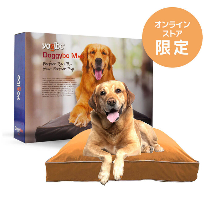 【オンラインストア限定】Doggybo Max(ドギボー マックス)