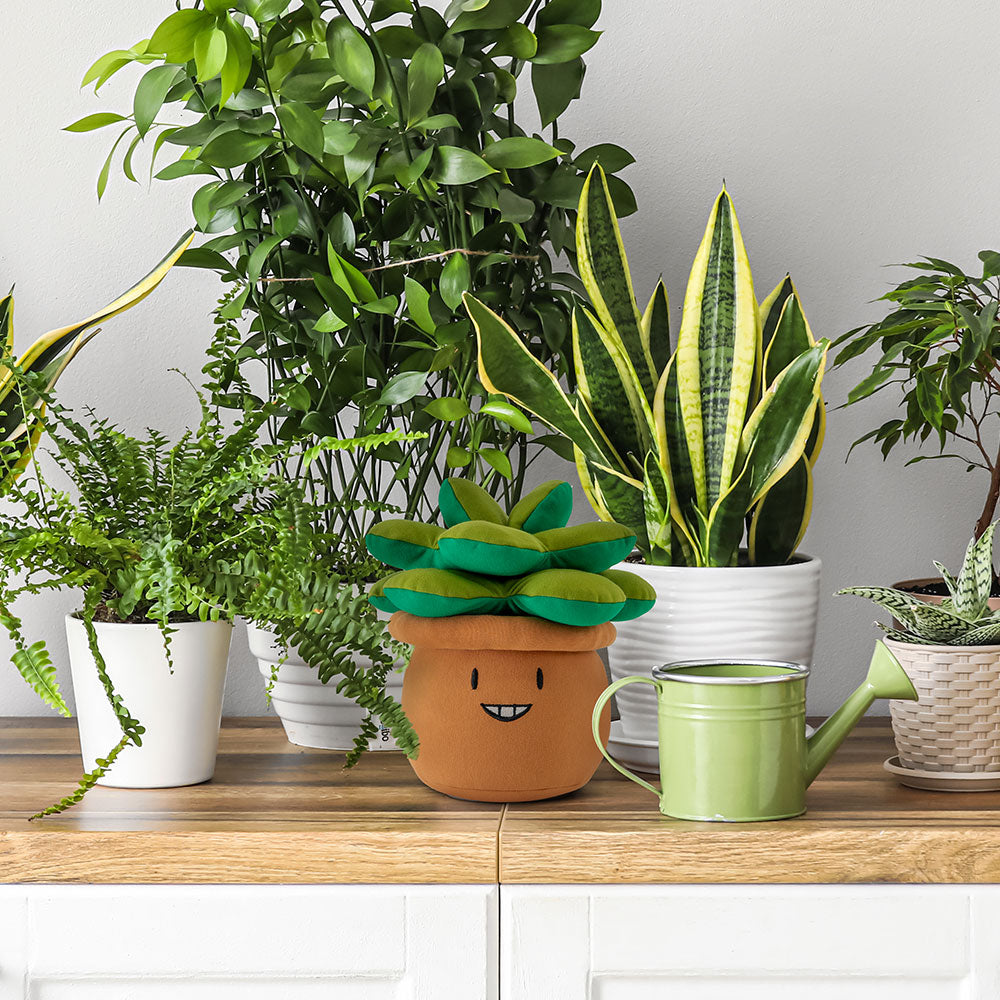 Yogibo Plant Mate Snake Plant(スプラウト)