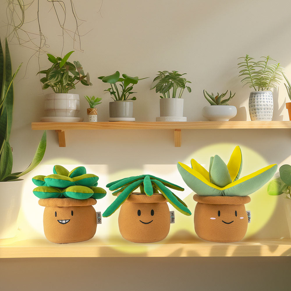 Yogibo Plant Mate Snake Plant(スプラウト)