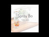 Spray Bo（スプレイボー）