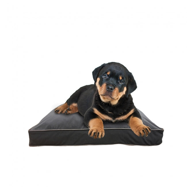 Doggybo Mini(ドギボー ミニ)