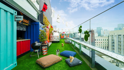 【協賛】Yogibo、「DOG RUN & BBQ Beer Garden」で愛犬と過ごす屋上のくつろぎ体験を提供