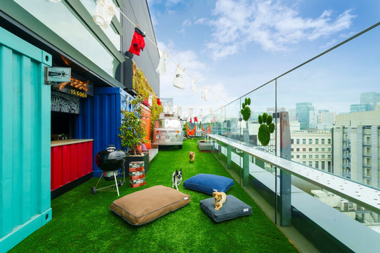 【協賛】Yogibo、「DOG RUN & BBQ Beer Garden」で愛犬と過ごす屋上のくつろぎ体験を提供