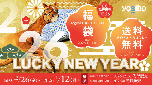 LUCKY NEW YEAR開催！年に一度のLucky Bag＆ソファ・バディ送料無料キャンペーン