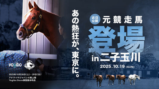 Yogibo×ヴェルサイユリゾートファーム「人と馬をつなぐ」 引退競走馬イベントを二子玉川ライズで開催