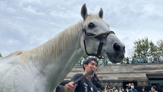 【協賛】引退競走馬とふれあう特別な一日 in 二子玉川ライズ