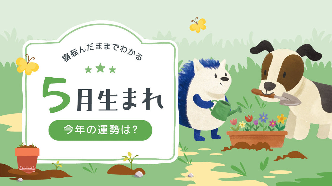 2026年｜5月生まれの誕生月占い