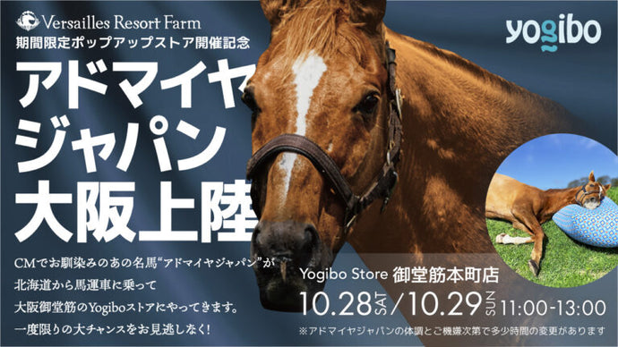 【大阪御堂筋本町店に馬登場】アドマイヤジャパンがYogibo Storeのポップアップストアに2日間限定で応援参加