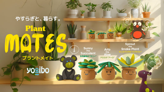 【新発売】やすらぎと暮らす。「Plant Mate」新作3種が仲間入り
