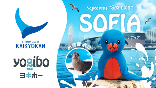 【海響館 × Yogibo】アシカをモチーフにした限定ぬいぐるみ「ソフィア」が登場！