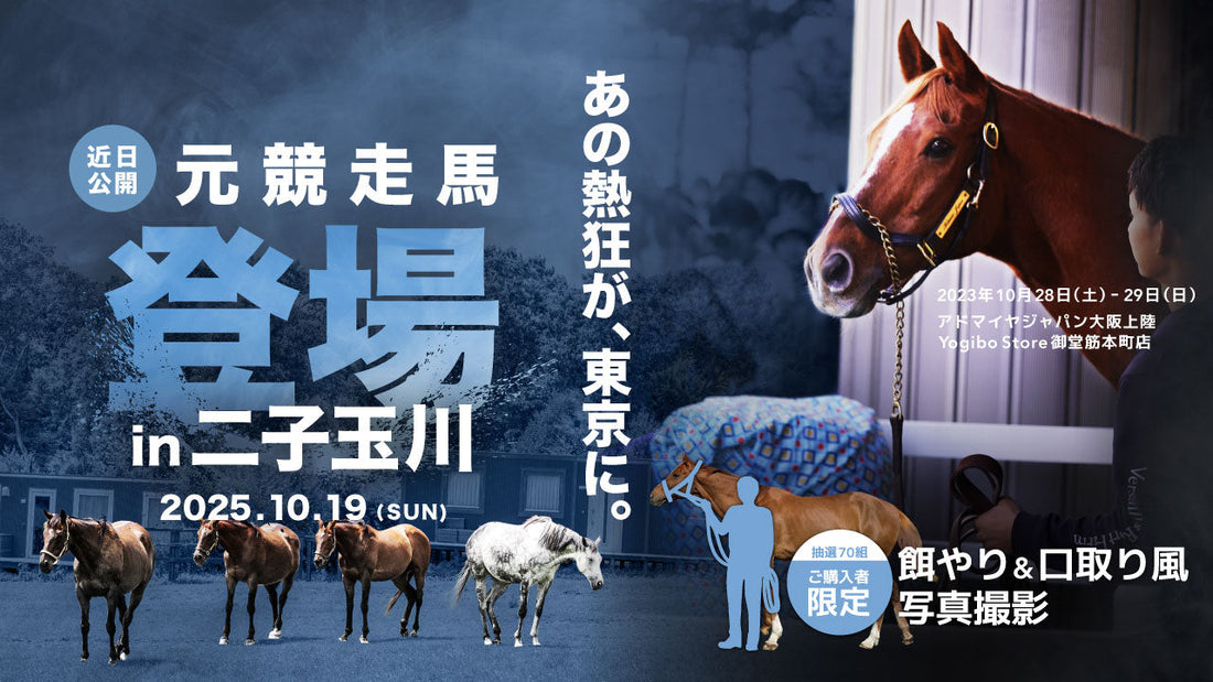 【抽選70組様｜オンラインストア限定】引退競走馬との特別ふれあい体験プレゼント