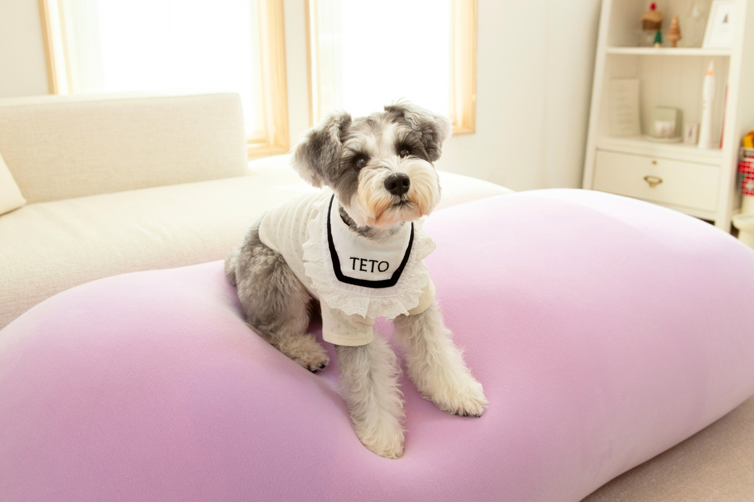 ☆inu dog様専用 新品・未使用 Yogibo サウル 【公式通販】 ☆inu dog様専用 新品・未使用 Yogibo サウル 【公式通販】