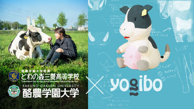 Yogibo × 酪農学園大学附属とわの森三愛高等学校 “乳牛への想いを、かたちに” 〜産学連携プロジェクト〜