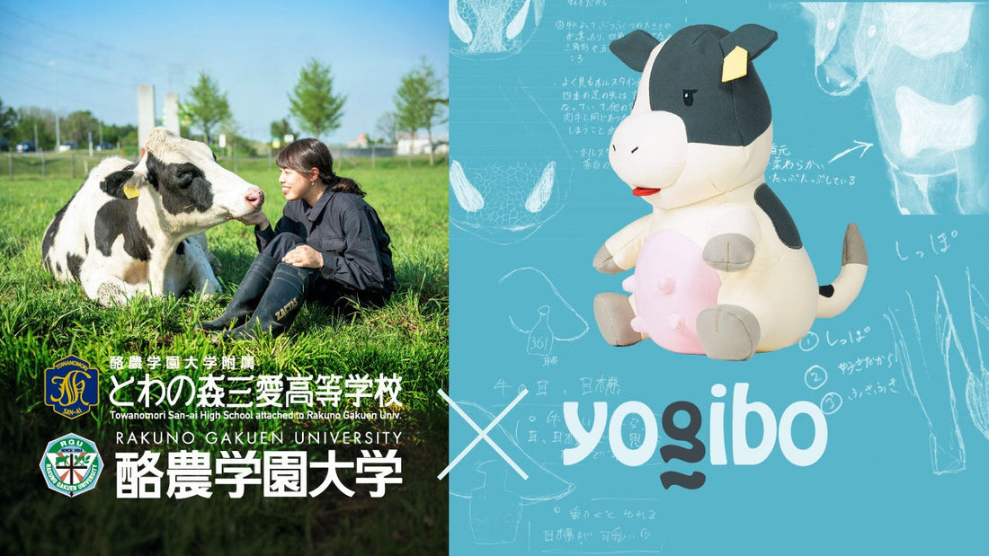 Yogibo × 酪農学園大学附属とわの森三愛高等学校 “乳牛への想いを、かたちに” 〜産学連携プロジェクト〜