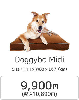 Doggybo Midi