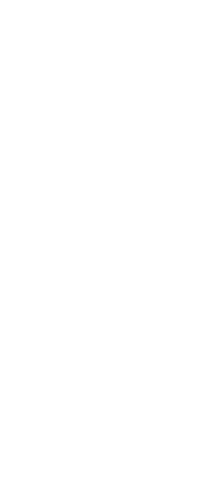 最大サイズのソファと抱き枕、ブランケットの贅沢な福袋