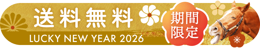LUCKY NEW YEAR 送料無料