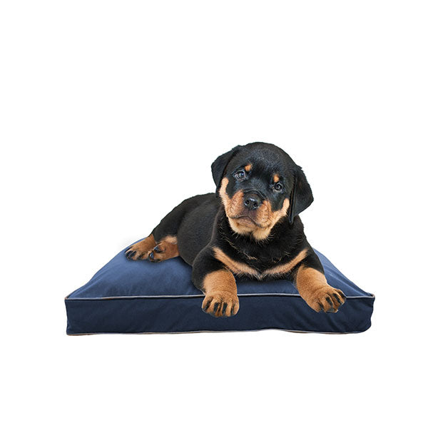 Doggybo