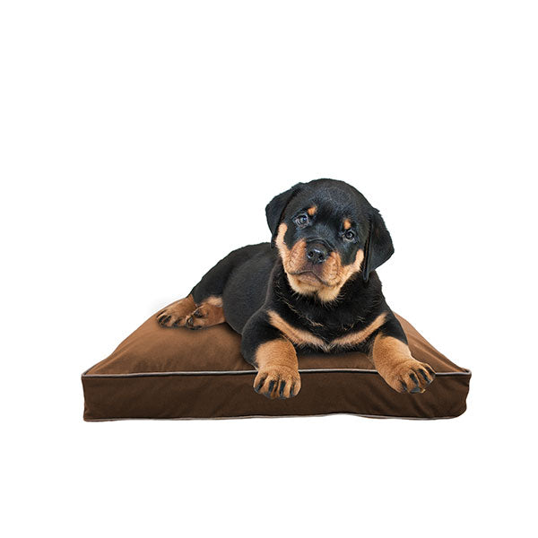 Doggybo