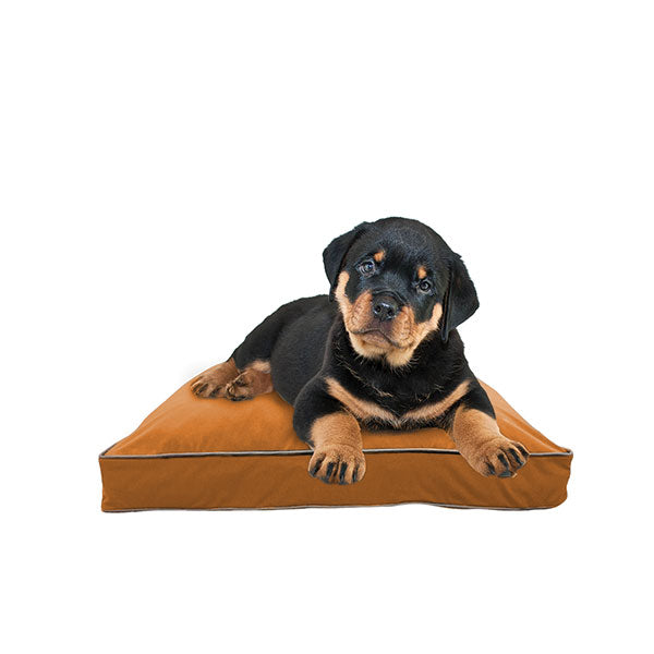Doggybo