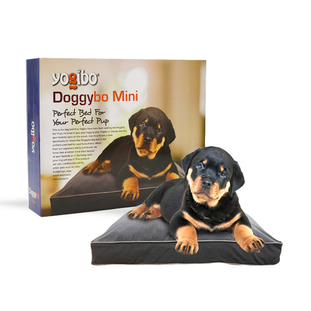 Doggybo